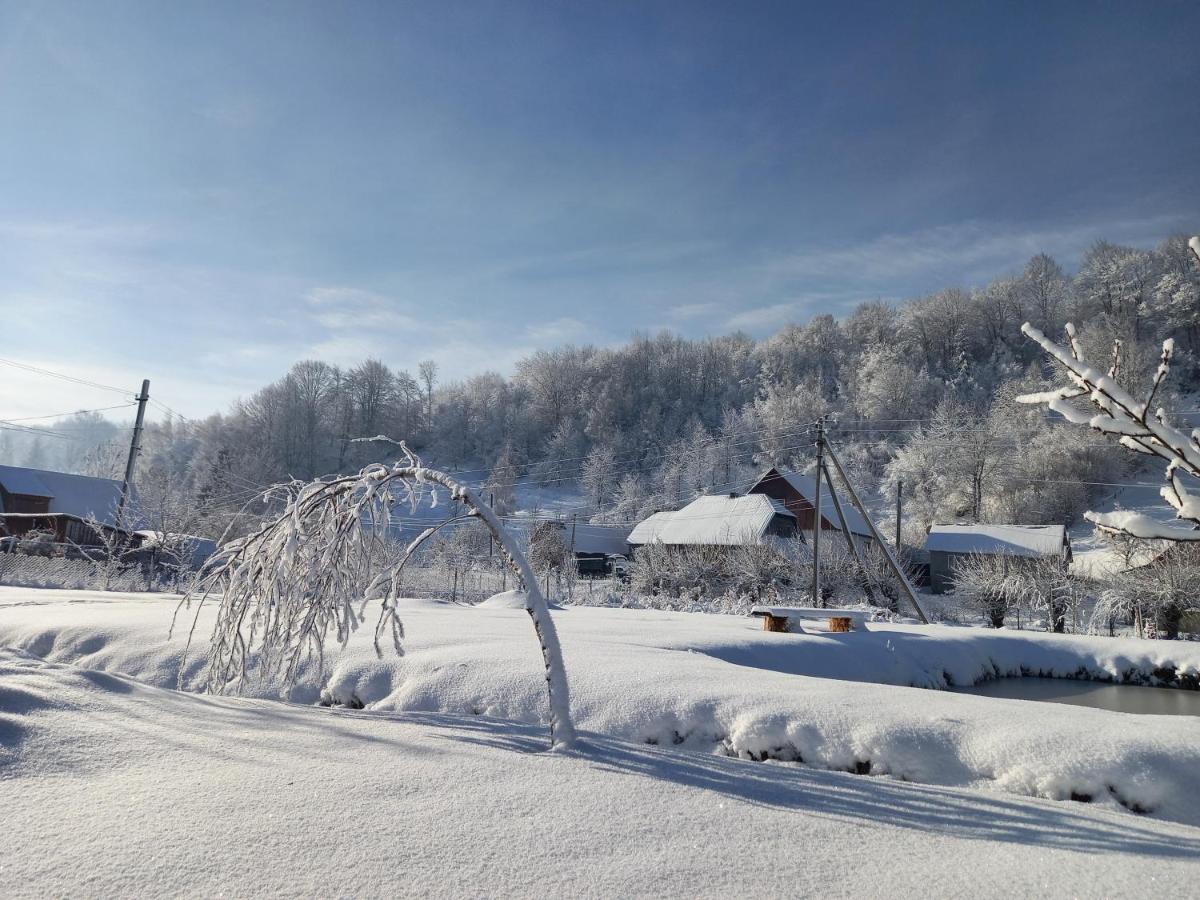 Садиба Райський Куточок Synevyr Exterior photo