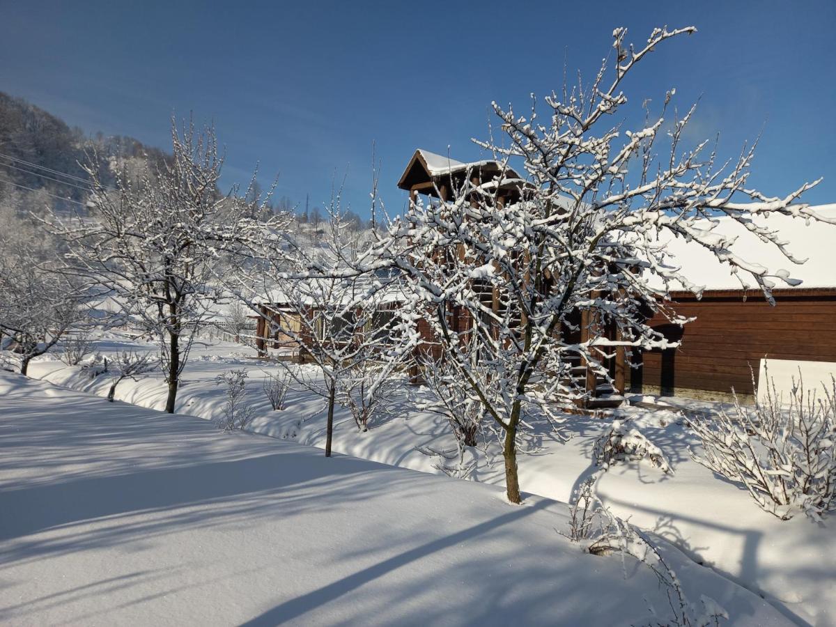 Садиба Райський Куточок Synevyr Exterior photo